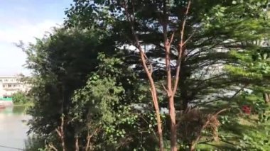 Kanchanaburi Tayland 'daki Kwai Köprüsü' nü geçiyoruz.