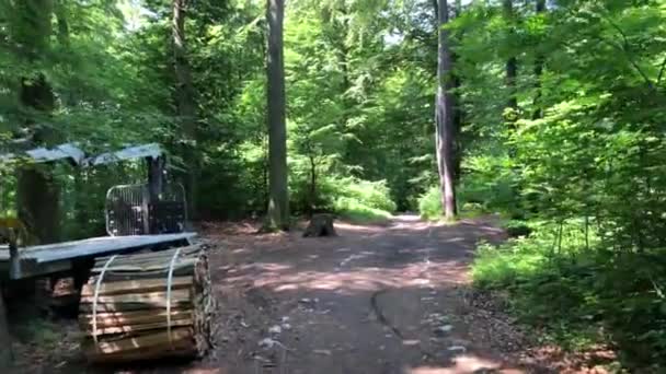 Går Genom Skogen Kapuzinerberg Kulle Salzburg Österrike — Stockvideo