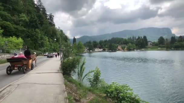 Caballo Carruaje Alrededor Del Lago Sangró Eslovenia — Vídeos de Stock