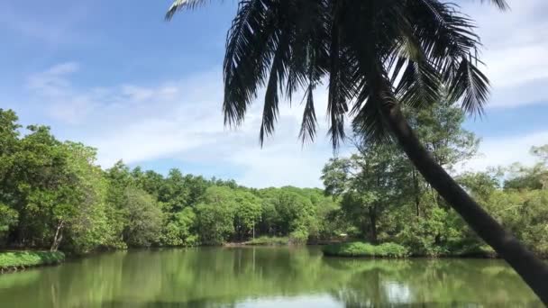 Sri Nakhon Khuean Khan Park Taki Palmtree Göl Bangkok Tayland — Stok video