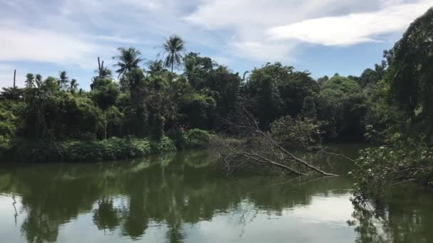 Озеро Парке Шри Накхон Хуэйхан Ботанический Сад Бангкоке Таиланд — стоковое видео