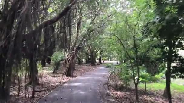 Jazda Rowerze Przez Park Sri Nakhon Khuean Khan Ogród Botaniczny — Wideo stockowe