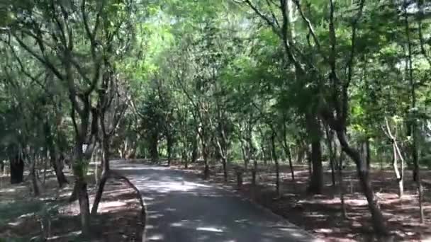 Cykling Genom Sri Nakhon Khuean Khan Park Och Botaniska Trädgården — Stockvideo