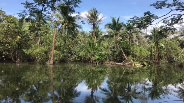 Ilha Coco Sri Nakhon Khuean Khan Park Jardim Botânico Bangkok — Vídeo de Stock