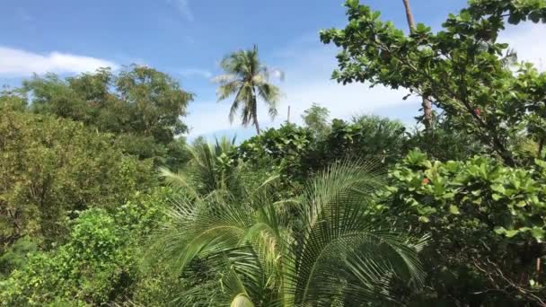 Sri Nakhon Khuean Khan Park Och Botaniska Trädgården Utsikt Från — Stockvideo