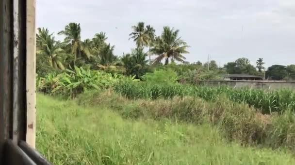 Vue Train Vers Kanchanaburi Thaïlande — Video