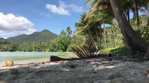 มะพร าวบนหาดลองบ เกาะช างในประเทศไทย — วีดีโอสต็อก