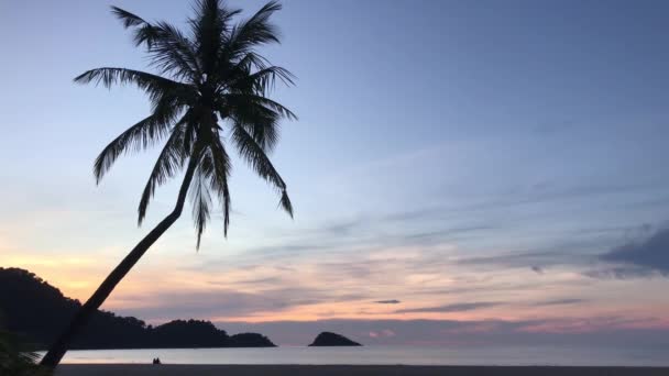 Palmtree Και Ηλιοβασίλεμα Στην Koh Chang Ταϊλάνδη — Αρχείο Βίντεο