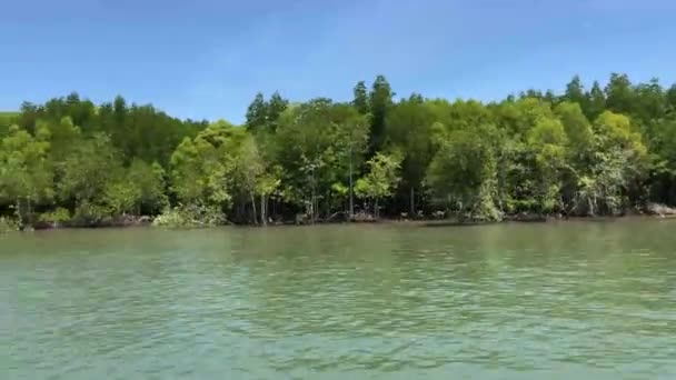 Zeilen Door Mangrove Bij Lanta Noi Thailand — Stockvideo