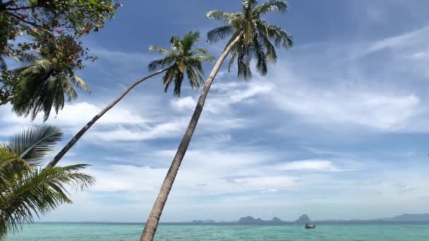 Palmeras Isla Koh Ngai Tailandia — Vídeos de Stock