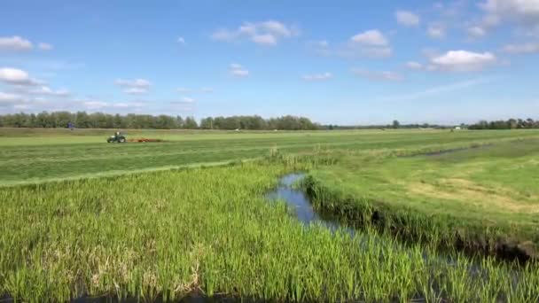 Фермер Работой Фрисландии Нидерланды — стоковое видео