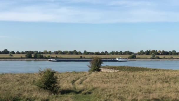 Cargo Ship Rhine River Tolkamer Gelderland Netherlands — Stock Video