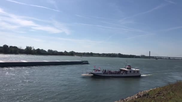 Ferry Crossing Rhine River While Cargo Ship Passing Rees Germany — Stock Video