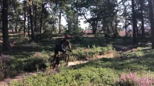 Mountain Bike Parco Nazionale Sallandse Heuvelrug Nei Paesi Bassi — Video Stock