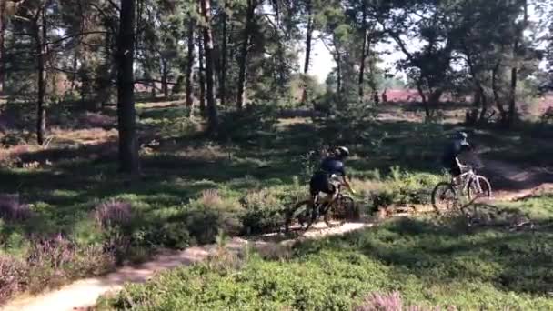 Pareja Ciclismo Montaña Parque Nacional Sallandse Heuvelrug Los Países Bajos — Vídeo de stock