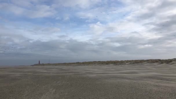 Pessoas Caminhando Dia Frio Inverno Direção Farol Praia Texel — Vídeo de Stock