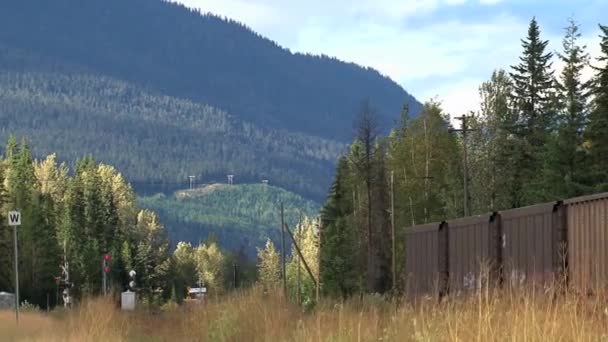 Vista Trem Que Vai Toronto Para Vancouver Canadá — Vídeo de Stock