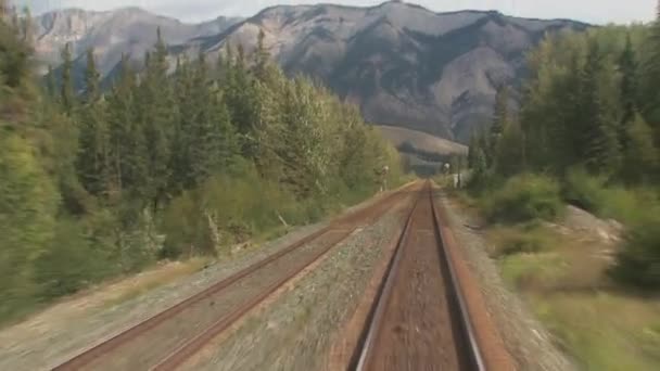 Vista Trem Que Vai Toronto Para Vancouver Canadá — Vídeo de Stock