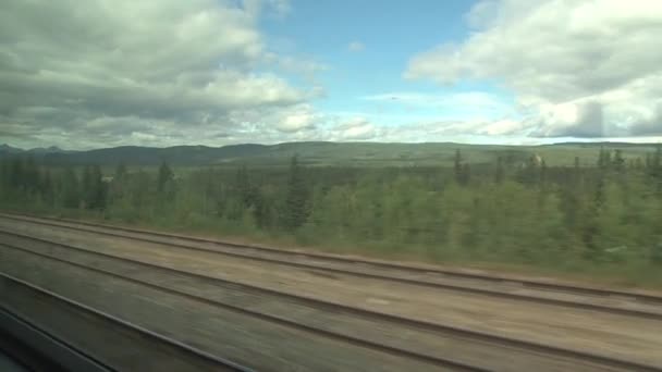 Blick Aus Einem Zug Von Toronto Nach Vancouver Kanada — Stockvideo