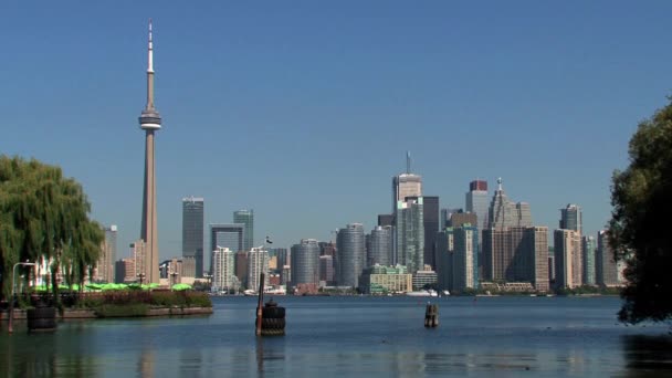 Ουρανοξύστης Από Τορόντο Καναδάς — Αρχείο Βίντεο