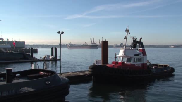Tugboat Haven Vancouver Canada — Stockvideo