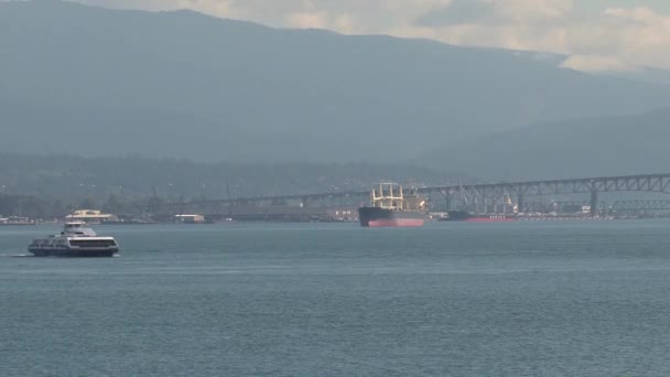 Cruiseschip Haven Vancouver Canada — Stockvideo