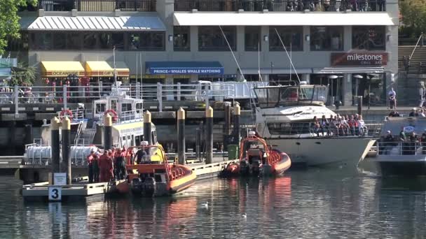 Łódź Obserwacyjna Wielorybów Opuszcza Port Victoria Victoria — Wideo stockowe