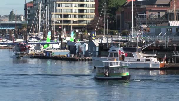 Wassertaxi Hafen Victoria British Columbia Kanada — Stockvideo