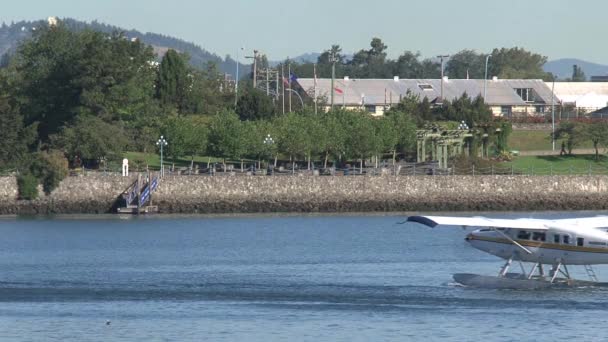 Flotador Puerto Victoria Columbia Británica Canadá — Vídeo de stock