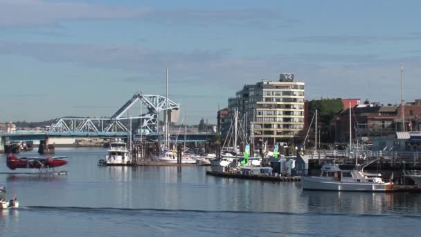 Flytande Plan Anländer Hamnen Vancouver British Columbia Kanada — Stockvideo