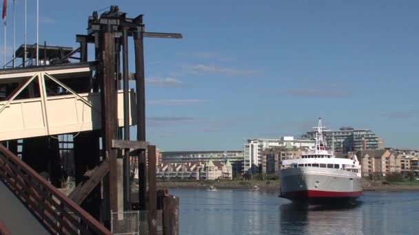 Seattle Ferry Arriving Victoria Harbor — Stock Video