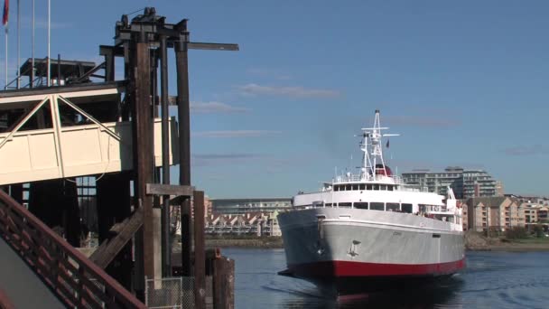 Seattle Ferry Arriveert Victoria Haven — Stockvideo