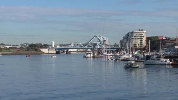 加拿大不列颠哥伦比亚省维多利亚港的水上出租车 — 图库视频影像