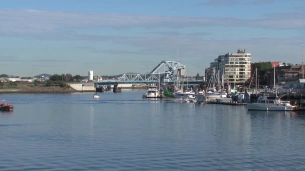 Victoria Harbor Βρετανική Κολομβία Καναδάς — Αρχείο Βίντεο