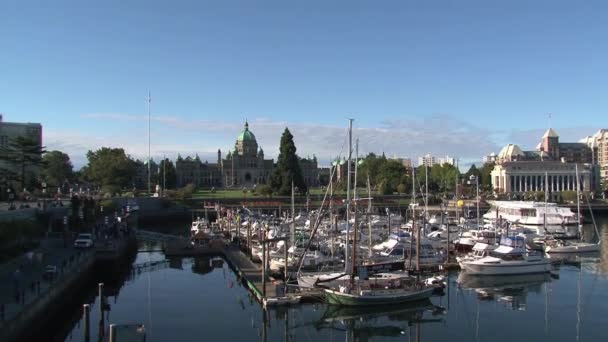 Victoria Harbor British Columbia Kanada — Stockvideo