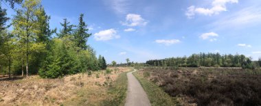 Rheeze, Hollanda çevresindeki ormanda bisiklet yolu var.