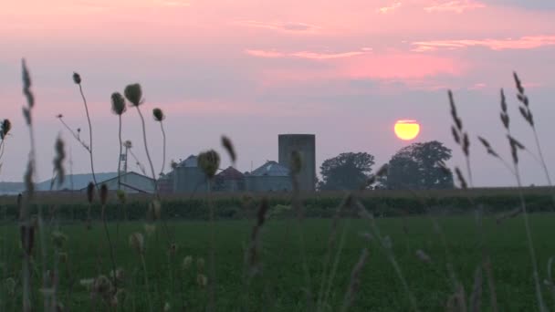 Puesta Sol Una Granja Canadá — Vídeo de stock