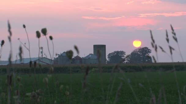 Sonnenuntergang Auf Einer Farm Kanada — Stockvideo