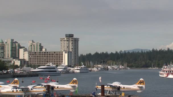 Úszó Repülőgép Vancouver Kikötőjében Brit Columbia Kanada — Stock videók