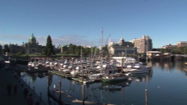 Порт Виктория Британская Колумбия Канада — стоковое видео
