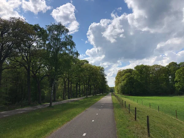 Carretera Alrededor Ommen Holanda — Foto de Stock