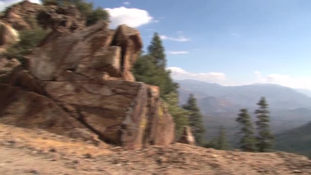 Monumento Nacional Giant Sequoia California Estados Unidos — Vídeo de stock