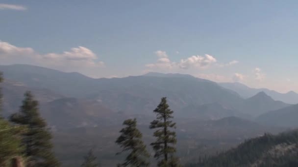 Monumento Nacional Giant Sequoia California Estados Unidos — Vídeos de Stock