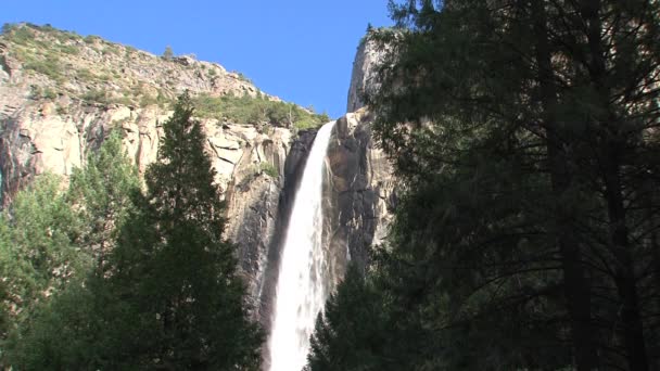 Cascada Disparada Desde Bosque — Vídeos de Stock