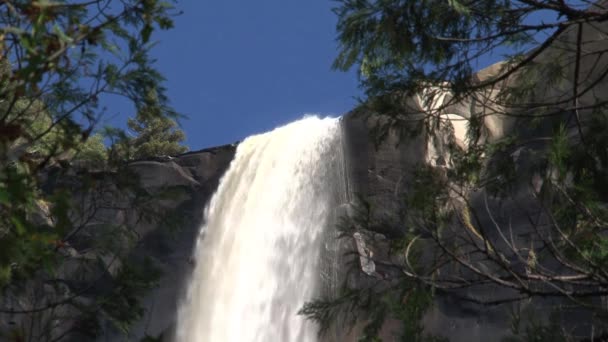 Chiudere Cascata Monte Tra Gli Alberi — Video Stock