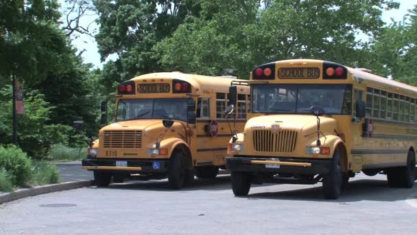 Dois Ônibus Escolares Americanos Amarelos Dirigindo Para Longe — Vídeo de Stock