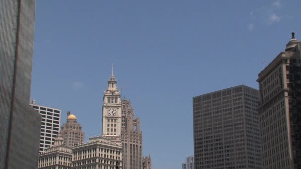 Prédios Downtown Chicago Eua — Vídeo de Stock