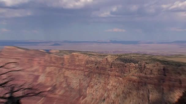 Uitzoomen Grand Canyon Schaduw Van Dood Bomen — Stockvideo