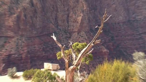 Grand Canyon Förenta Staterna — Stockvideo