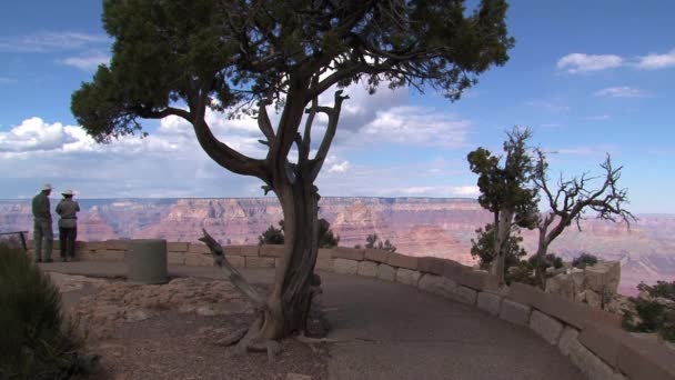 Grand Canyon Verenigde Staten — Stockvideo